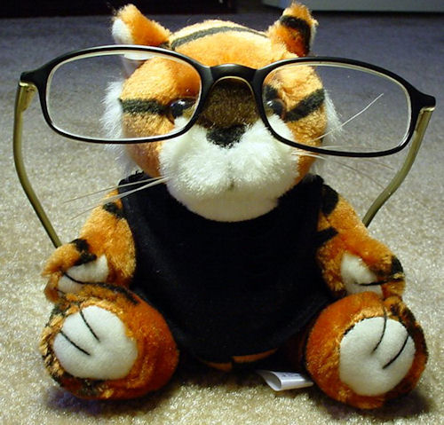 Stuffed animal with glasses